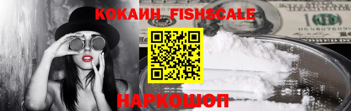 COCAIN Fish Scale  Кокаин  Вход с VPN  Елизово  сколько стоит  Кокаин FishScale 