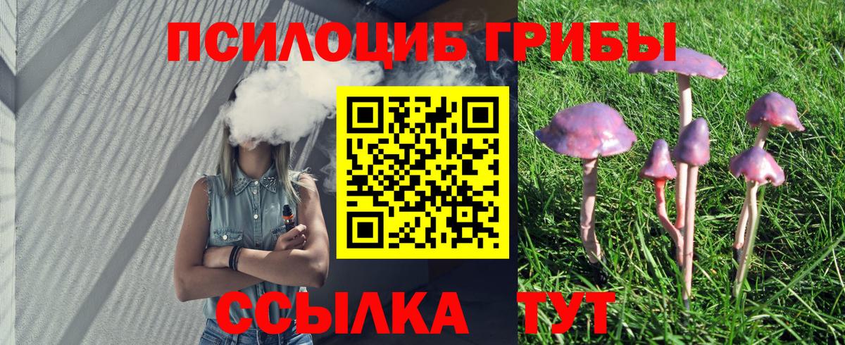 Галлюциногенные грибы Psilocybe Елизово