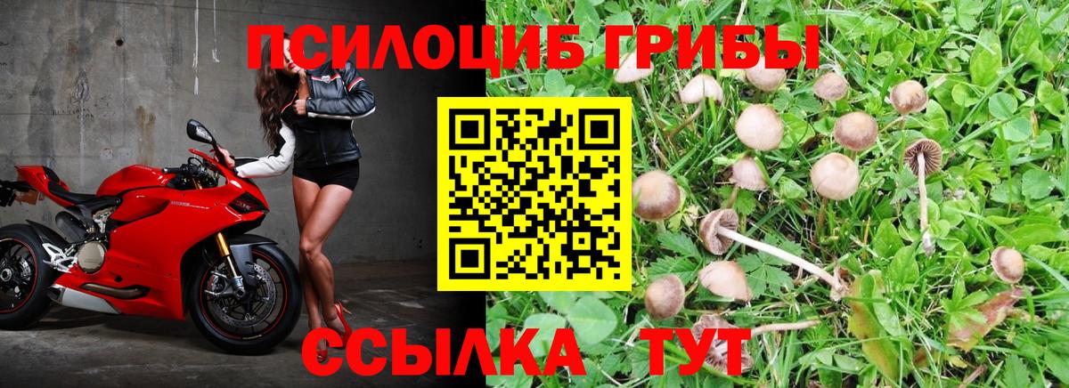 Марихуана  LSD-25  Елизово  Alpha-PVP СК   Экстази  Мефедрон  Вход с VPN  COCAIN  Мефедрон кристаллы 